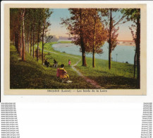 Delcampe - Carte De BRIARE  Les Bords De La Loire ( Colorisée )  ( Recto Verso ) - Briare