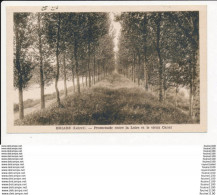 Delcampe - Carte De BRIARE  Promenade Entre La Loire Et Le Vieux Canal   ( Recto Verso ) - Briare