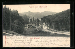 Delcampe - AK Kipsdorf, Villa Waldhof - Kipsdorf
