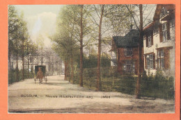Delcampe - 37588 /  ️  BUSSUM Noord-Holland Nieuwe Hilversumsche Weg. 1910s Uitg NAUTA Velsen 10659 Nederland - Bussum