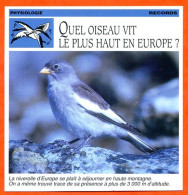 Delcampe - QUEL OISEAU VIT LE PLUS HAUT EN EUROPE  ?  Oiseau Oiseaux Records Fiche Illustrée Documentée - Animales