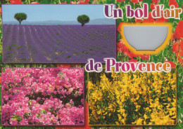 Delcampe - France Marignane Paysage Floral Champs De Lavande Coquelicots Unposted #PBE134.A - Marignane