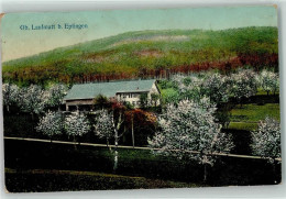 Delcampe - 4458 Eptingen 1910 - Obere Laufmatt Bäume Im Blust - 13935893 - Eptingen