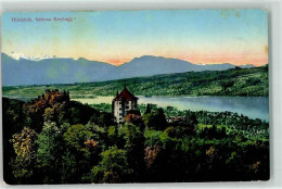 Delcampe - 6285 Hitzkirch 1915 - Schloss Heydegg - 10620435 - Hitzkirch