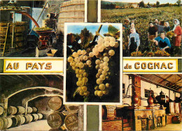 Delcampe - Carte Postale - 16 - Cognac - Au Pays Du Cognac - Multivues - CPM - Voir Scans Recto-Verso - Poscard - Carta Postal -  P - Cognac