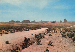 Delcampe - CAMEROUN MOKOLO PAYSAGE DES KAPSIKIS - Camerun