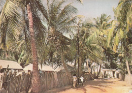 Delcampe - SENEGAL JOAL FADIOUTH VUE DE JOAL - Senegal