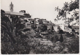 Delcampe - CPSM-06--MOUGINS-LE VILLAGE --VUE GENERALEMAISONS-ARBRES - Mougins