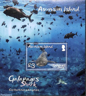 Delcampe - Ascension 2021 Galapagos Sharks S/s, Mint NH, Nature - Fish - Sharks - Fische