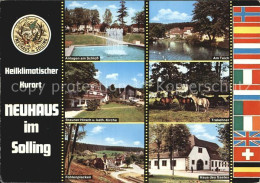 Delcampe - Neuhaus Solling Anlagen Am Schloss Teich Trakehner Brauner Hirsch Kirche Fohlenp - Holzminden