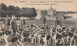 Delcampe - CHANTILLY 60 (Oise) – Meute Du Duc De Chartres équipage De S.A.R.– Grandes Écuries – Vénerie – CPA 1915 – Rare - Chantilly