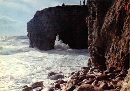 Delcampe - 56-QUIBERON-N°C-3634-A/0381 - Quiberon