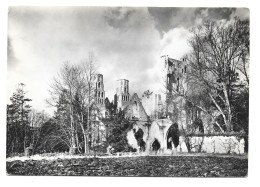 Delcampe - Jumièges - Ruines De L'Abbaye - Eglise Saint Pierre - Nef - Vue Du Nord-Est - Jumieges