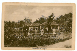 Delcampe - RO 56 - 1945 FOCSANI, Cultura In Gradini De Zarzavat, Romania - Old Postcard - Used - 1925 - Rumänien