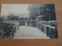 Delcampe - Bruxelles Uccle Au Grand Jardin Du Bois De La Cambre - Uccle - Ukkel