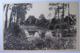 Delcampe - BELGIQUE - NAMUR - WALCOURT - BERZEE - Les Etangs Dits Bayau - Walcourt