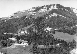 Delcampe - 01 GEX Col De La Faucille Les Hotels Du Pailly Et Le Jura 52 (scan Recto Verso)KEVREN0706 - Gex