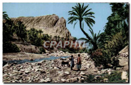 Delcampe - Afrique - Africa - Un Joli Coin De L Oued Et De L Oasis - CPA - Non Classés