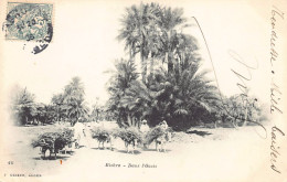 Delcampe - Algérie - BISKRA - Dans L'oasis - Bourricotiers - Ed. J. Geiser 40 - Biskra
