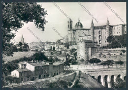 Delcampe - Pesaro Urbino Città FG Cartolina ZF8642 - Pesaro