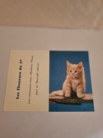 Delcampe - Calendrier De Poche  **  Chat  ** Chaton   **   Léboueurs Du 17 - Kleinformat : 1981-90