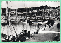 Delcampe - DOUARNENEZ - LE PORT ET LES PLOMERC H - CPSM GRAND FORMAT - Douarnenez