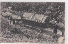 Delcampe - AFRIQUE/017.....CEYLAN ....TRANSPORT D ELEPHANTS - Sri Lanka (Ceylon)