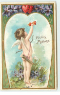 Delcampe - N°17017 - Carte Gaufrée - Cupid's Message - Cupidon Avec Des Coeurs Sur Une Flèche - Valentinstag