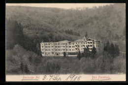 Delcampe - AK Bad Harzburg, Blick Auf Den Harzburger Hof - Bad Harzburg