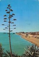 Delcampe - ESPAGNE TORREMOLINOS PLAGE DE MONTEMAR - Sonstige & Ohne Zuordnung