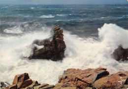 Delcampe - 56 QUIBERON TEMPETE SUR LE ROCHER DU CHIEN - Quiberon