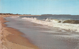Delcampe - URUGUAY PUNTA DEL ESTE PLAGE DE BRAVA - Uruguay