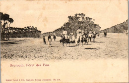 Delcampe - SYRIE - Paysage De Syrie - Syrie