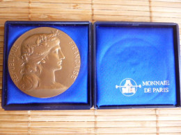 Delcampe - Protection De La Nature Et De L'Environnement -Médaille D’Honneur De La Pisciculture Graveur : Daniel Dupuis - SPL à FDC - Pesca