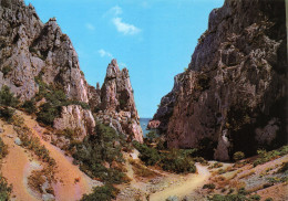 Delcampe - 13-CASSIS-N°3503-A/0035 - Cassis