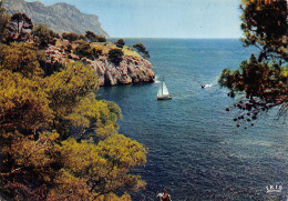 Delcampe - 13-CASSIS-N°3503-A/0001 - Cassis