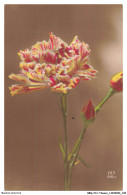 Delcampe - BBQP12-1033-FLEURS - Tulipe Perroquet - Blumen