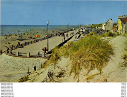 Delcampe - Quend Plage Les Pins - La Plage - Quend