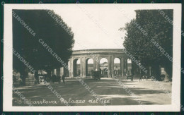 Delcampe - Mantova Città Palazzo Del The Foto Cartolina KV5834 - Mantova