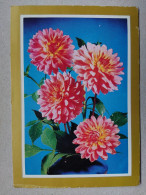 Delcampe - Kov 12-254 - Flowers, Flower, Fleur, Fleurs, Blumen, 花, Fiore, Blume, - Blumen