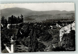 Delcampe - 4144 Arlesheim - Schloss Birseck Blick Auf Arlesheim - 10622197 - Arlesheim
