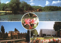 Delcampe - Heviz Heilbad Teilansichten Park - Hungary