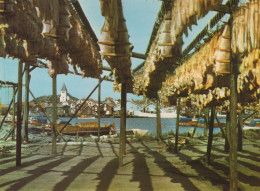 Delcampe - Sverige Lysekil Långaberedning Kustfiske Fiskeby Oanvänd Unposted #PBI810 - Schweden