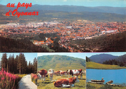 Delcampe - 01-OYONNAX-N°3511-D/0333 - Oyonnax