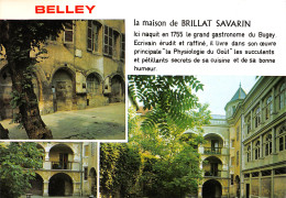 Delcampe - 01-BELLEY-N°3511-D/0291 - Belley