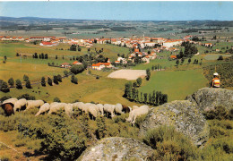 Delcampe - 43-SAUGUES-N°3511-D/0193 - Saugues