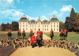 Delcampe - 41-CHEVERNY-N°3511-D/0145 - Cheverny