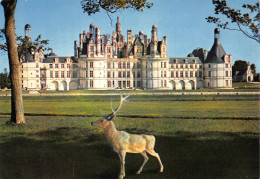 Delcampe - 41-CHAMBORD-N°3511-D/0135 - Chambord