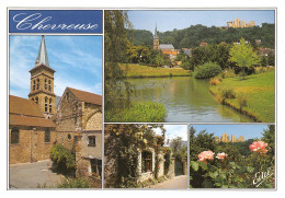 Delcampe - 78-CHEVREUSE-N°3511-C/0339 - Chevreuse