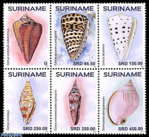 Delcampe - Suriname, Republic 2026 Shells 6v [++], Mint NH, Nature - Shells & Crustaceans - Meereswelt